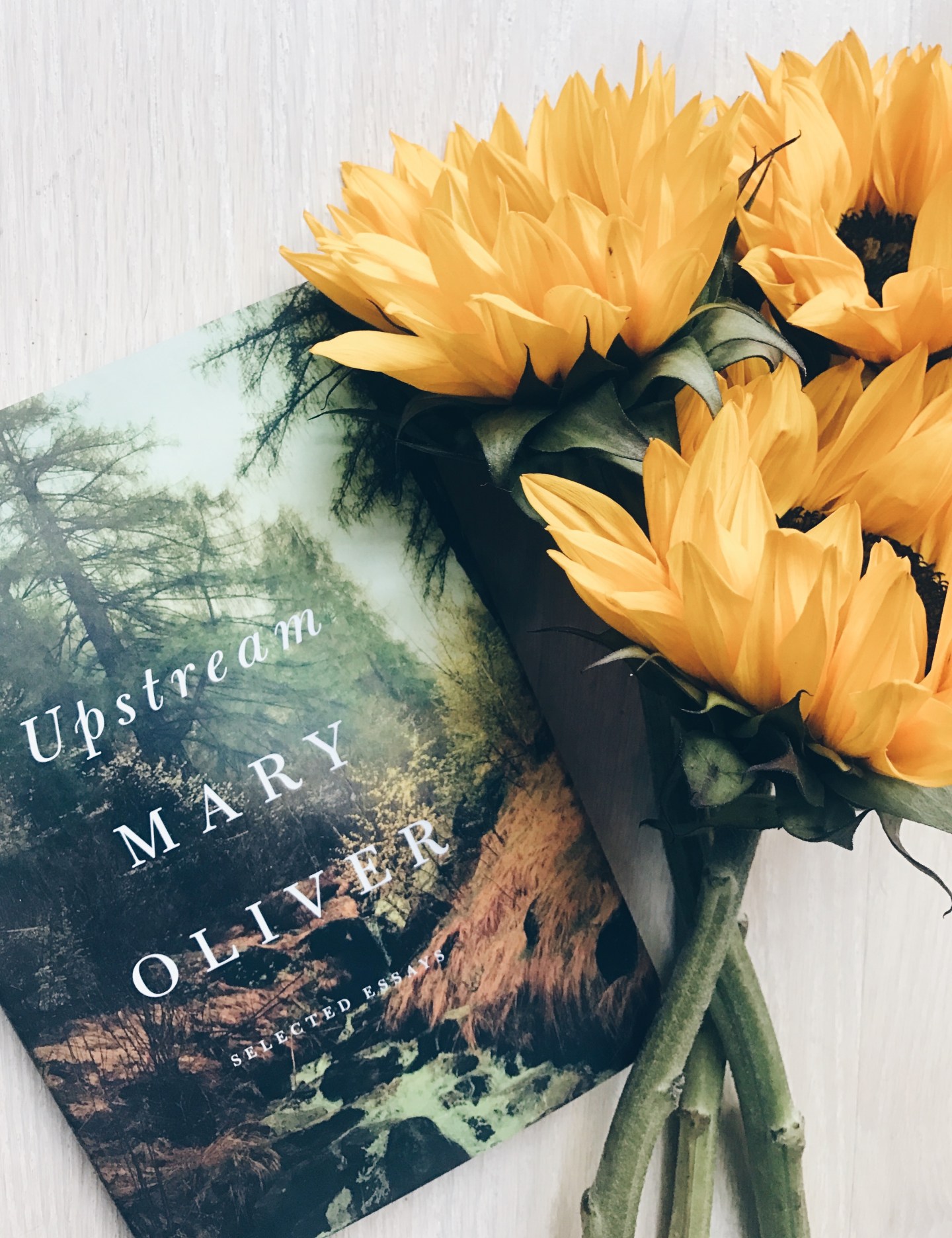 Processed with VSCO with hb1 preset