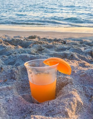 The DC Darlings Sanibel Guide