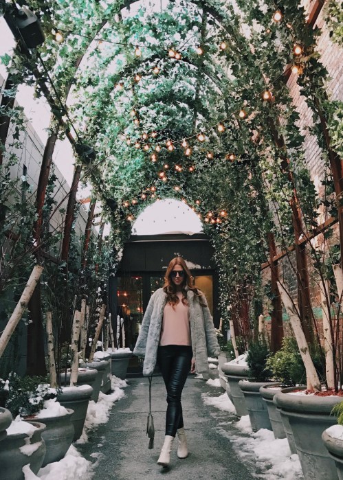 The DC Darlings x The NoMo SoHo