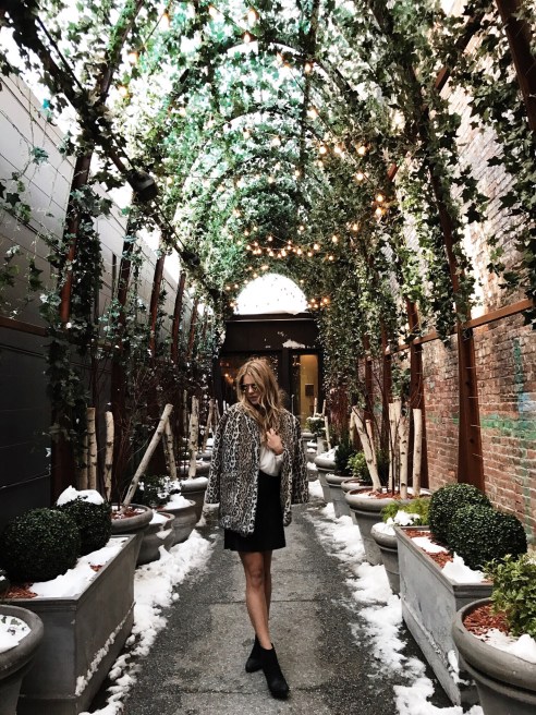 The DC Darlings x The NoMo SoHo