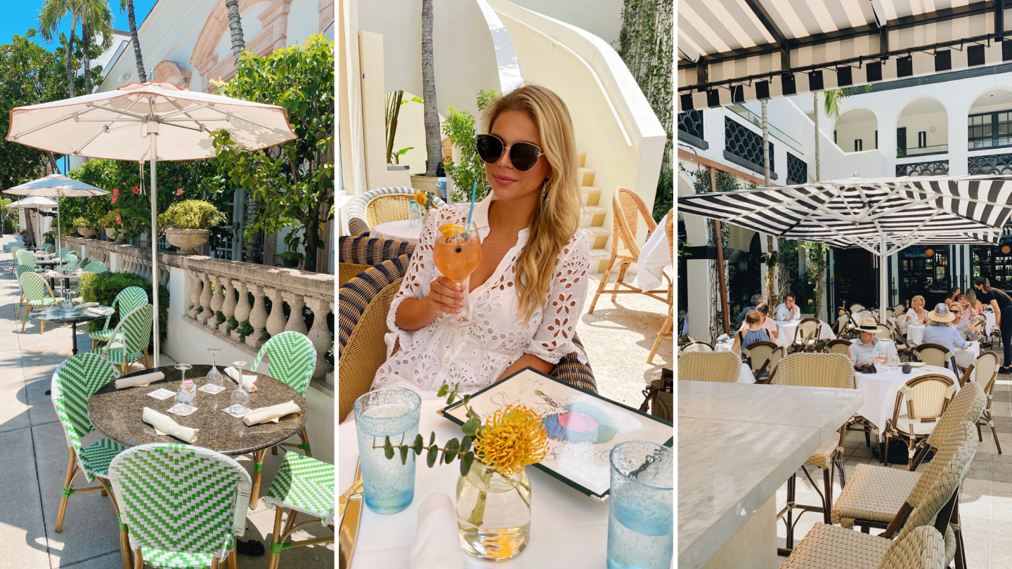 The DC Darlings Palm Beach Guide