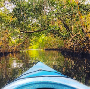 Sanibel Guide X The DC Darlings
