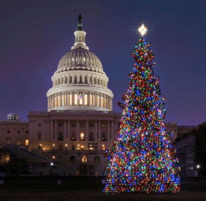 Washington, DC during the holiday season is the epitome of a winter wonderland! Read The DC Darlings guide to DC in December!