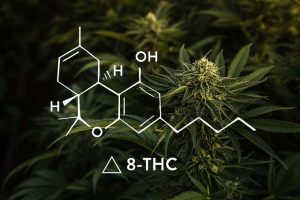 Delta 8 THC: A Holistic Approach to Wellness